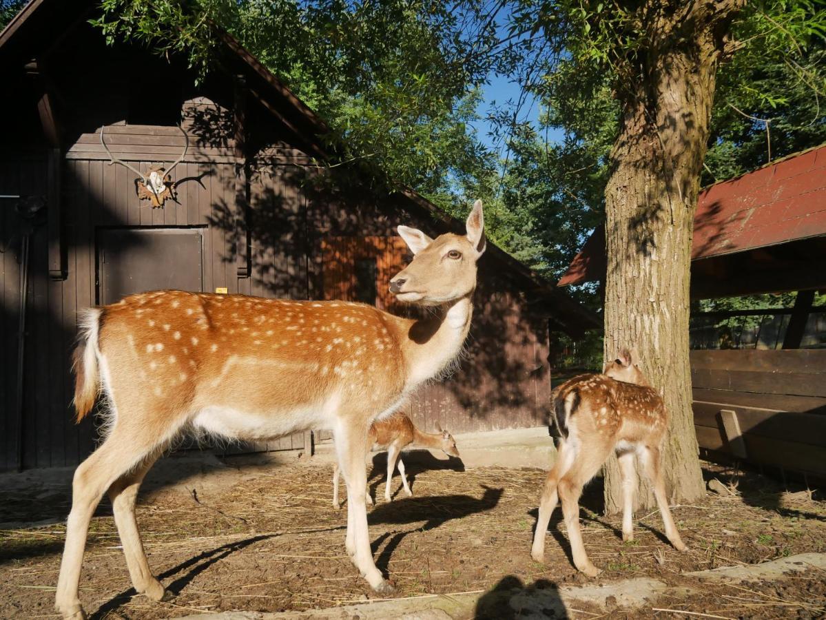 Penzion Obora Prostřední Bečva Exterior foto
