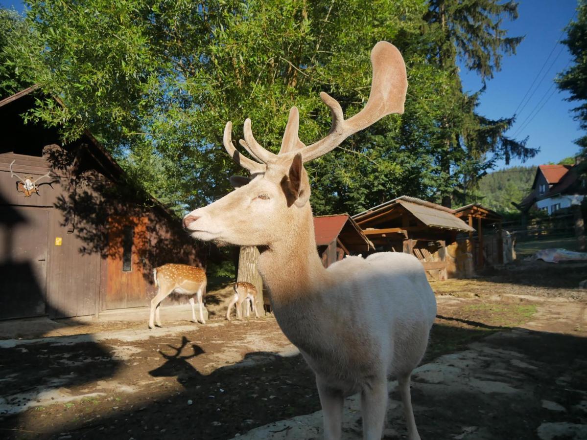 Penzion Obora Prostřední Bečva Exterior foto